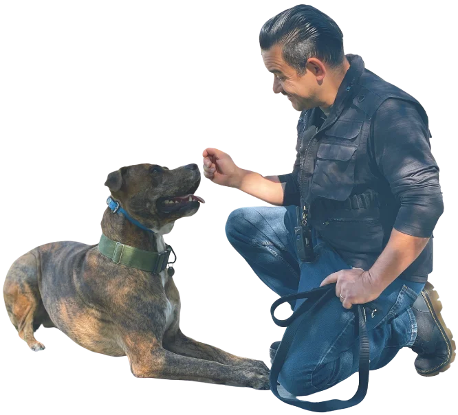 Robert Velazquez rewarding a dog during a training session